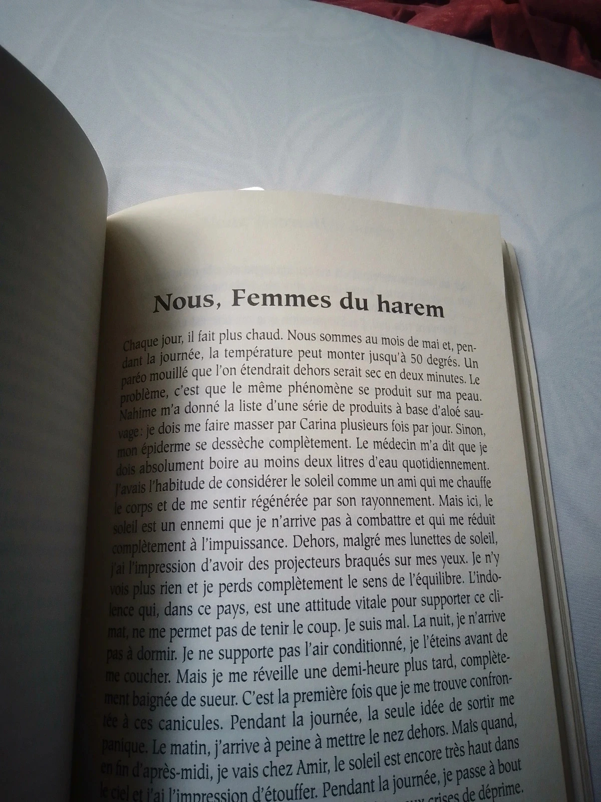 Haremboek – photo 3